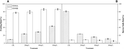 Effect of gibberellic acid on photosynthesis and oxidative stress response in maize under weak light conditions